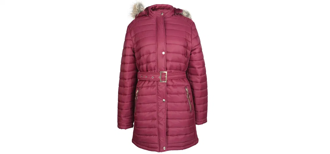 Ladies Custom Wholesale Padding Jacket Fashion Windproof Plus Size Women Long Down Jacket