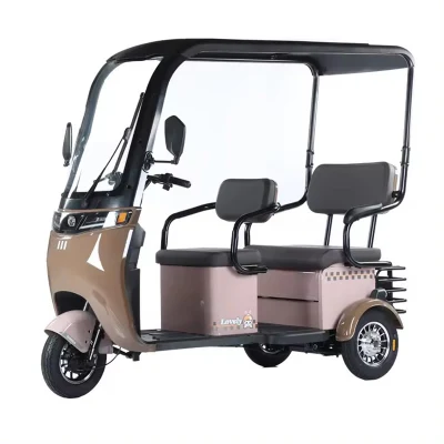 Electric Passenger Tricycle Three Wheel Scooter <a href='/electric-tricycle/'>Electric Tricycle</a> Motorcycle Bike with Windshield for Men