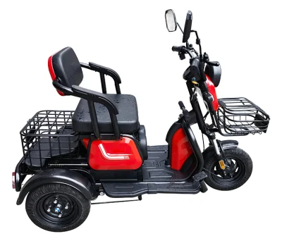 3-Wheel E-Bike Philippines for Sale with Best Price