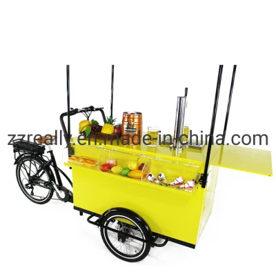 Electric 3 Wheel Beer Bike for Sale with Water Sink