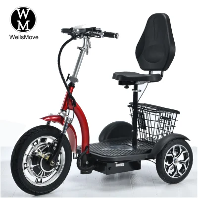 Three Wheel 48V Adult 16inch Electric <a href='/mobility-tricycle/'>Mobility Tricycle</a> Bike with Removable Seat