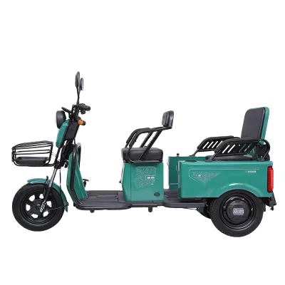 Three Wheels Passenger Vehicles Adult Electric Motorcycle Tricycle EEC 3 Wheels Electric Bikes