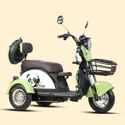 Electric Bicycle Three Wheel Motorcycle High Speed Battery 3 Wheel Electric Bicycle