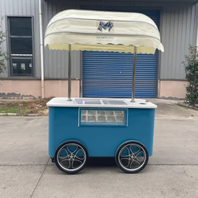 2024 Hot Sale OEM Electric Cargo Three Wheel Ice Cream Bike with Good Price