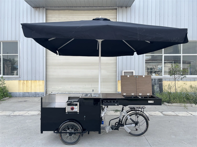 2023 Professional Customization with Electric 3 Wheel Bicycle Food Cart Manufacturer Street Food Cart with Water Sink