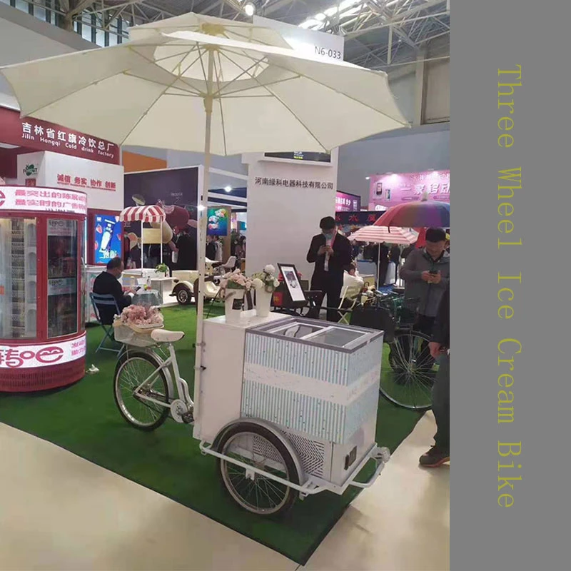 Hot Sale OEM Electric Cargo Three Wheel Ice Cream Bike with Good Price