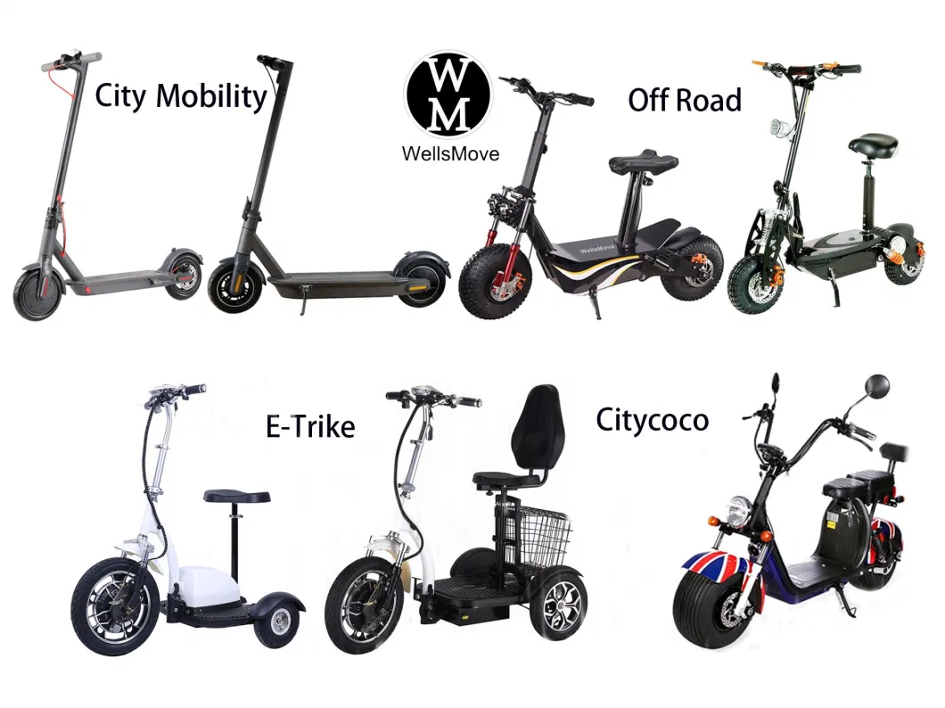 Three Wheel 48V Adult 16inch Electric Mobility Tricycle Bike with Removable Seat