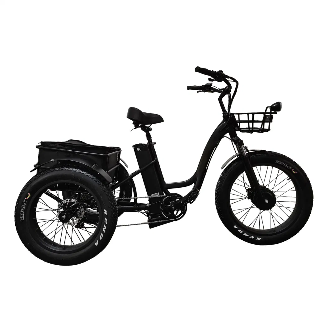 2023 Hot Sale Electric Cargo Bicycle with 3 Wheels Durable Affordable Ebike 500W 750W 48V 22ah Lithium Battery Electric Bike