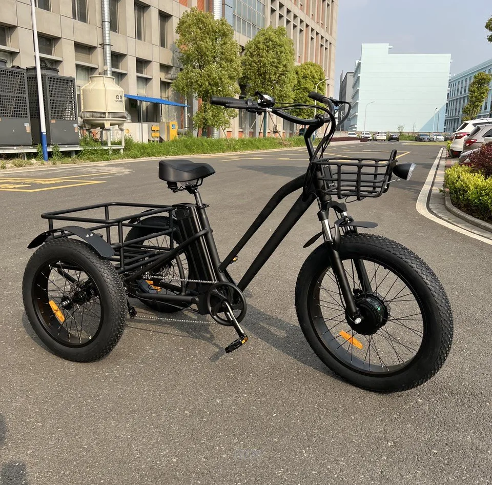 2023 Hot Sale Electric Cargo Bicycle with 3 Wheels Durable Affordable Ebike 500W 750W 48V 22ah Lithium Battery Electric Bike