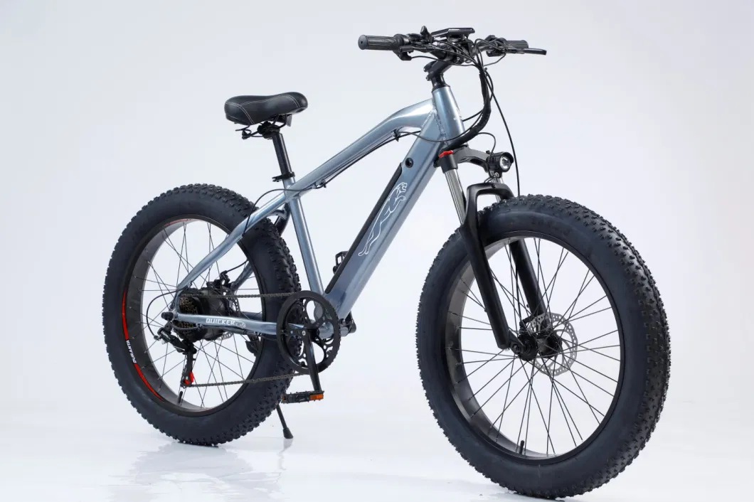 Foldable Electric Fat Tire Tricycle Front 750W Motor Beach Electric Bike 3 Wheel Electric Snow Bike Folding Electric Bicycle