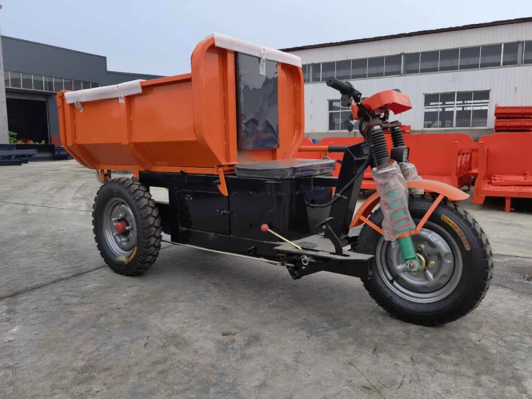 Electric Cargo Tricycle Bike/Three Wheel Mini Dumper Truck for Sell/Tricycle Cargo Bike Direct Selling