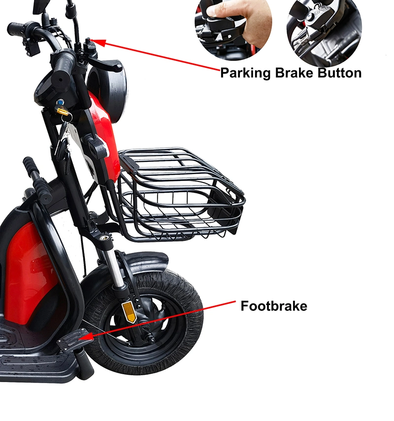 3-Wheel E-Bike Philippines for Sale with Best Price