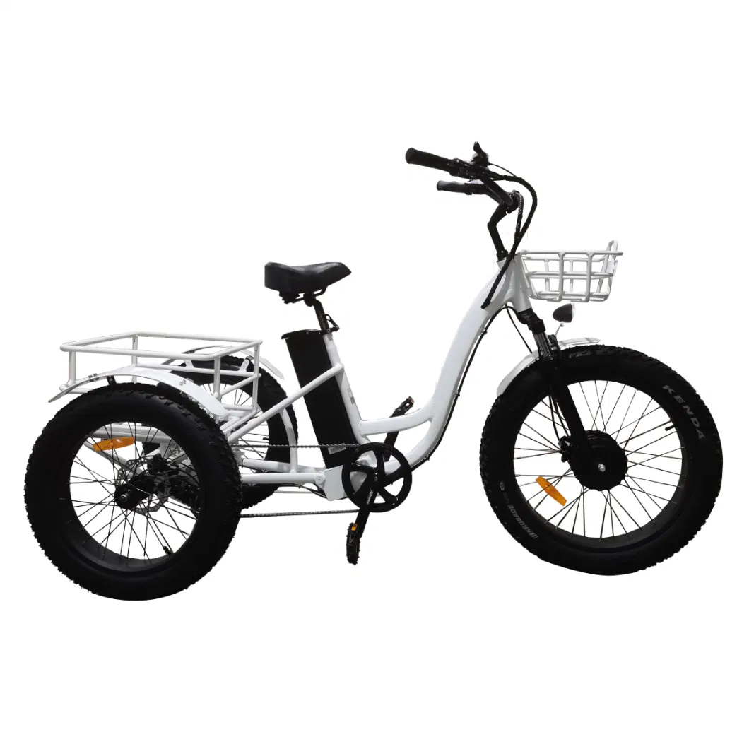 2023 Hot Sale Electric Cargo Bicycle with 3 Wheels Durable Affordable Ebike 500W 750W 48V 22ah Lithium Battery Electric Bike