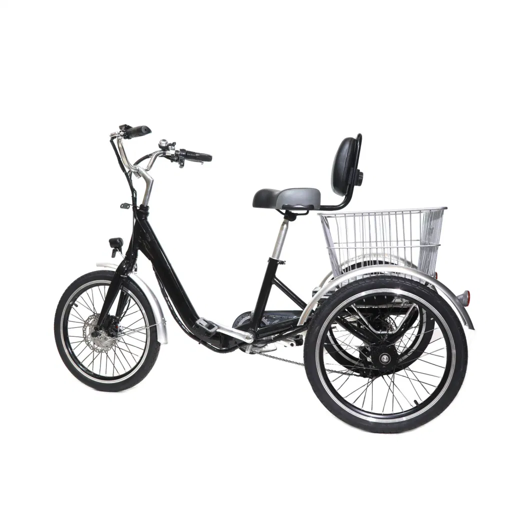 Hot Sale 36V 250W 3 Wheel Electric Bike with Big Baskets for Elder