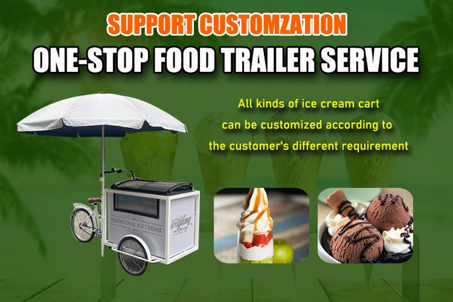 2024 Hot Sale OEM Electric Cargo Three Wheel Ice Cream Bike with Good Price