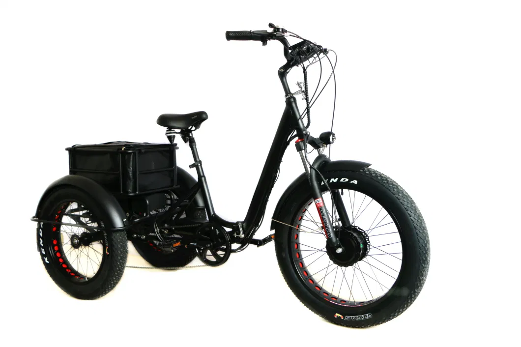 Folding Bike 3 Wheels Electric Moped E-Bike