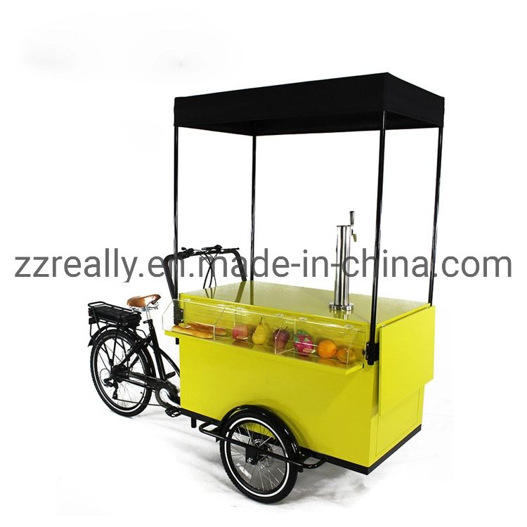 Electric 3 Wheel Beer Bike for Sale with Water Sink