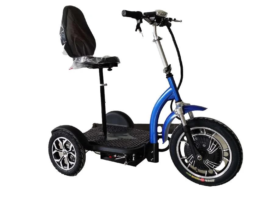 Three Wheel 48V Adult 16inch Electric Mobility Tricycle Bike with Removable Seat