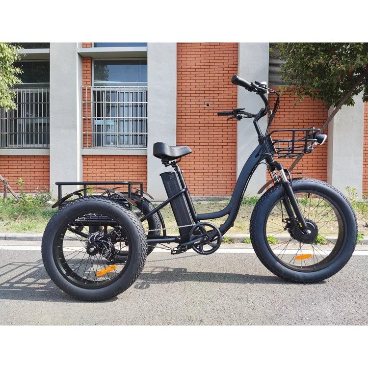 2023 Hot Sale Electric Cargo Bicycle with 3 Wheels Durable Affordable Ebike 500W 750W 48V 22ah Lithium Battery Electric Bike