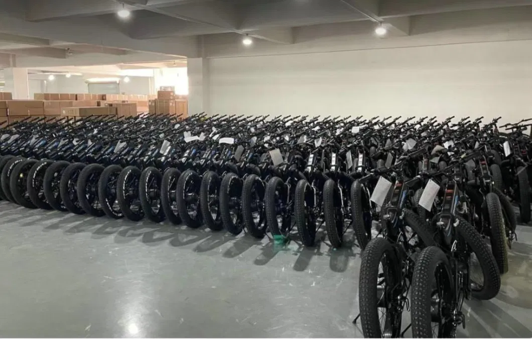 Foldable Electric Fat Tire Tricycle Front 750W Motor Beach Electric Bike 3 Wheel Electric Snow Bike Folding Electric Bicycle