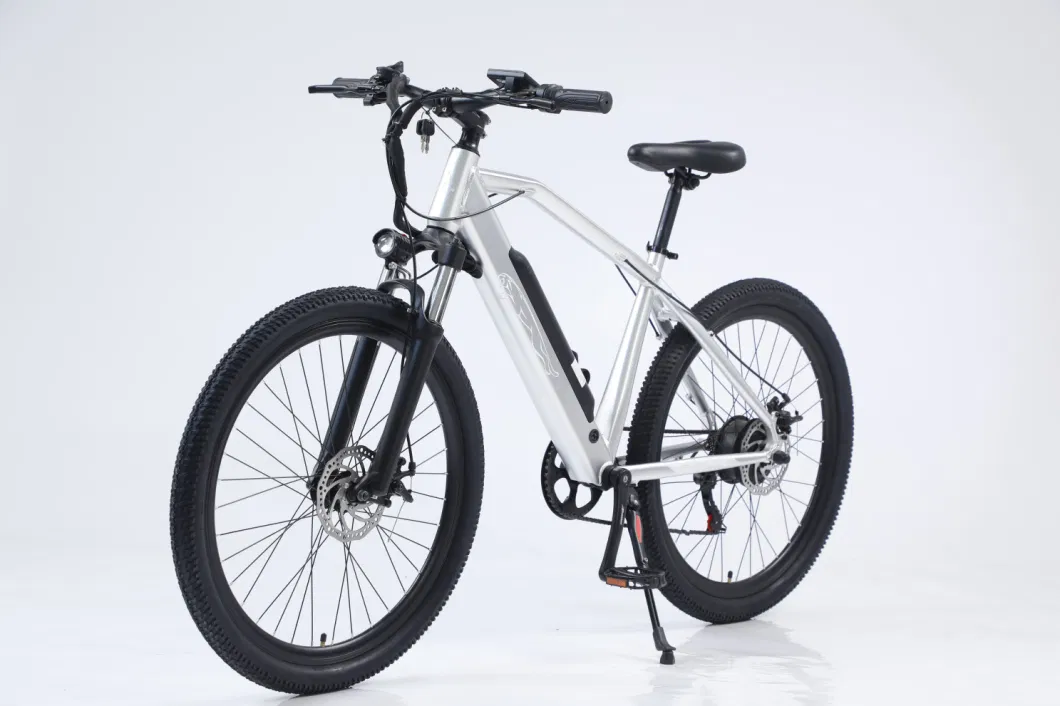 Foldable Electric Fat Tire Tricycle Front 750W Motor Beach Electric Bike 3 Wheel Electric Snow Bike Folding Electric Bicycle