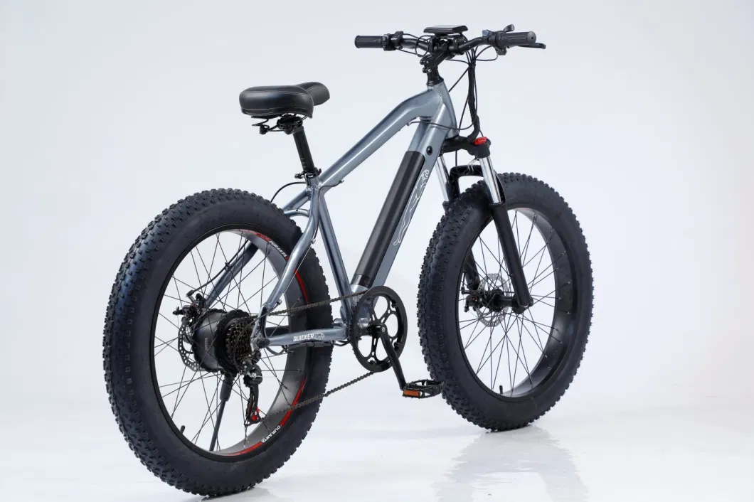 Foldable Electric Fat Tire Tricycle Front 750W Motor Beach Electric Bike 3 Wheel Electric Snow Bike Folding Electric Bicycle