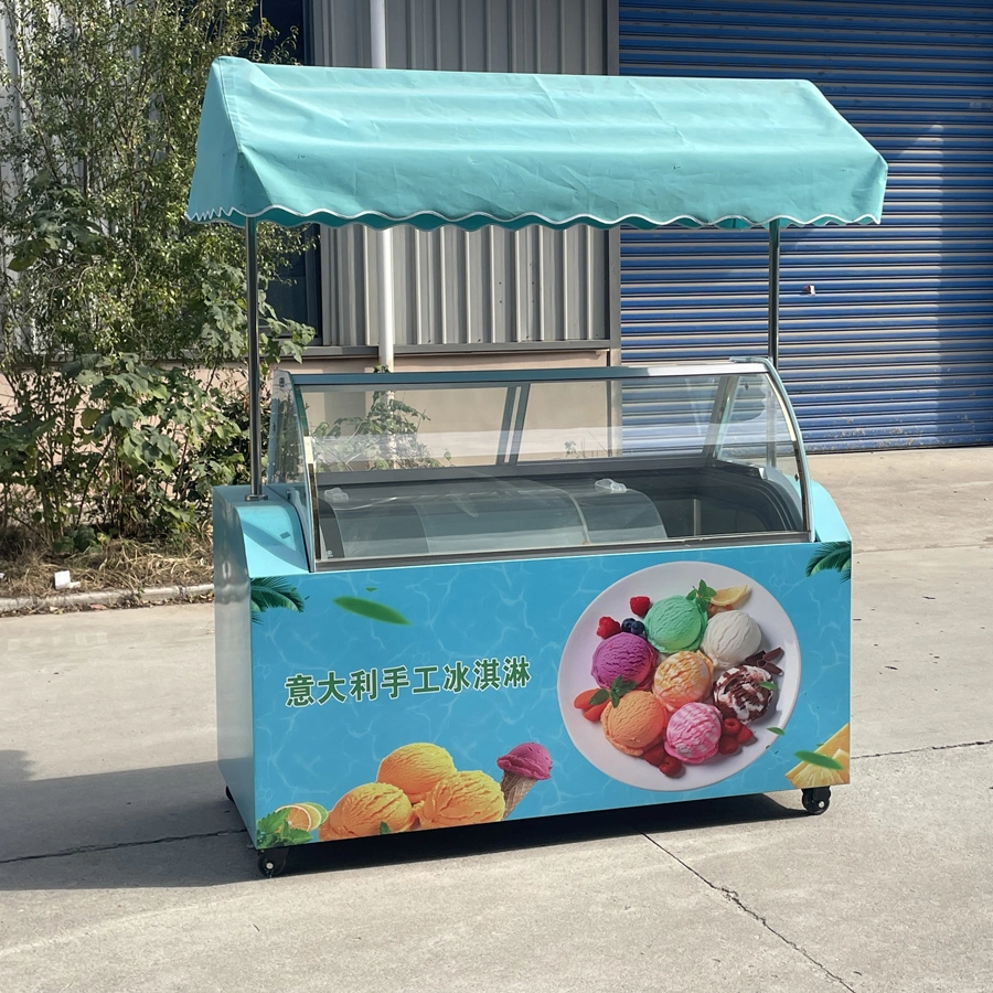 2024 Hot Sale OEM Electric Cargo Three Wheel Ice Cream Bike with Good Price