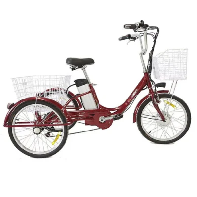 Vender comida caliente Solar Tricycleselectric pasajero 48V500welectric triciclo triciclos triciclo Scooter Cargaelectric de Adolescentes