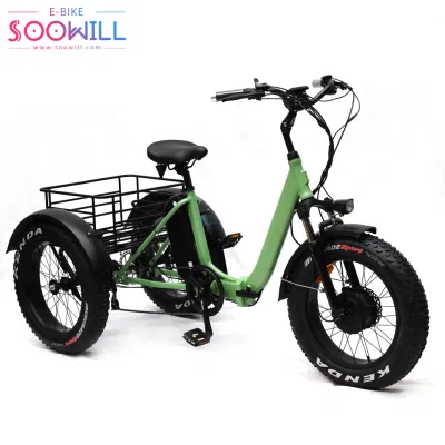 Hot Sale Fat Tire Folding 20inch Compras Tricycle eléctrico eBike