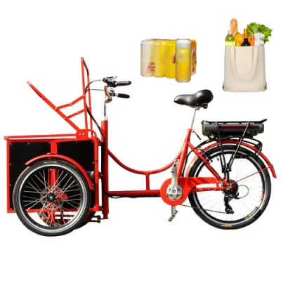 Hot Sale Familia portátil bicicleta eléctrica cargo 3 ruedas Adulto Trike Tricycle camión eléctrico carga de verduras y alimentos