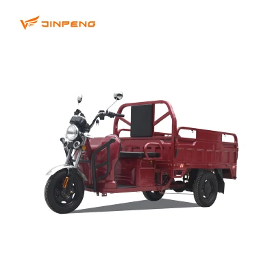 Jinshun Truck Cargo Trike Fuerte Capacidad de Escalada Triciclo de Carga Eléctrico de Tres Ruedas OEM en Venta Fábrica.