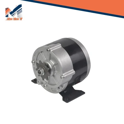 24V250W Dcmotor cepillado Tricycle Motor 3wheeled Motor eléctrico del vehículo Motor