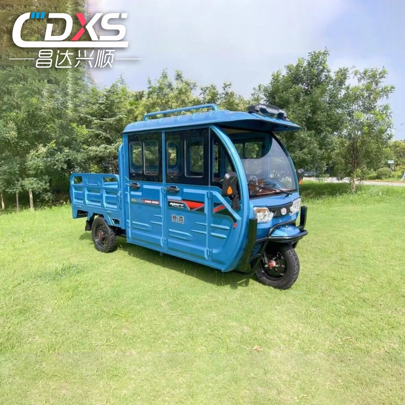 Adult Electric Tricycle Three Wheel Household Passenger and Cargo Tricycle Hill Climbing High-Power Electric Suitable for All Kinds of Roads Metal Body