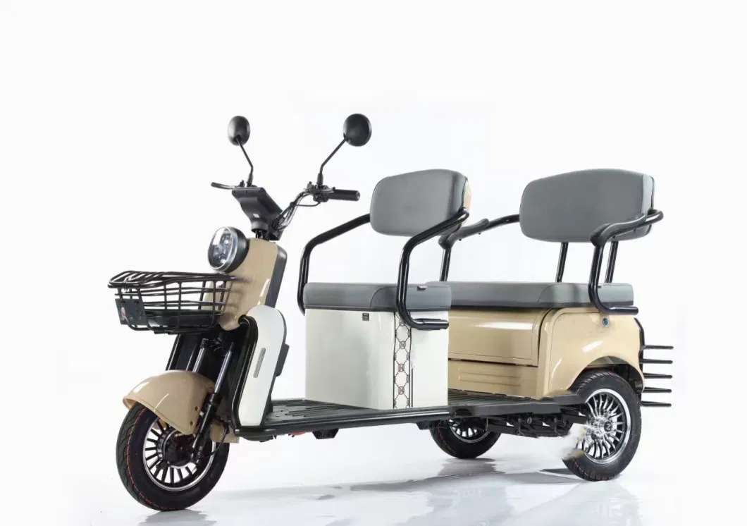 Three Wheels New Design Full Closed Electric Tricycle for Adult Motorcycle