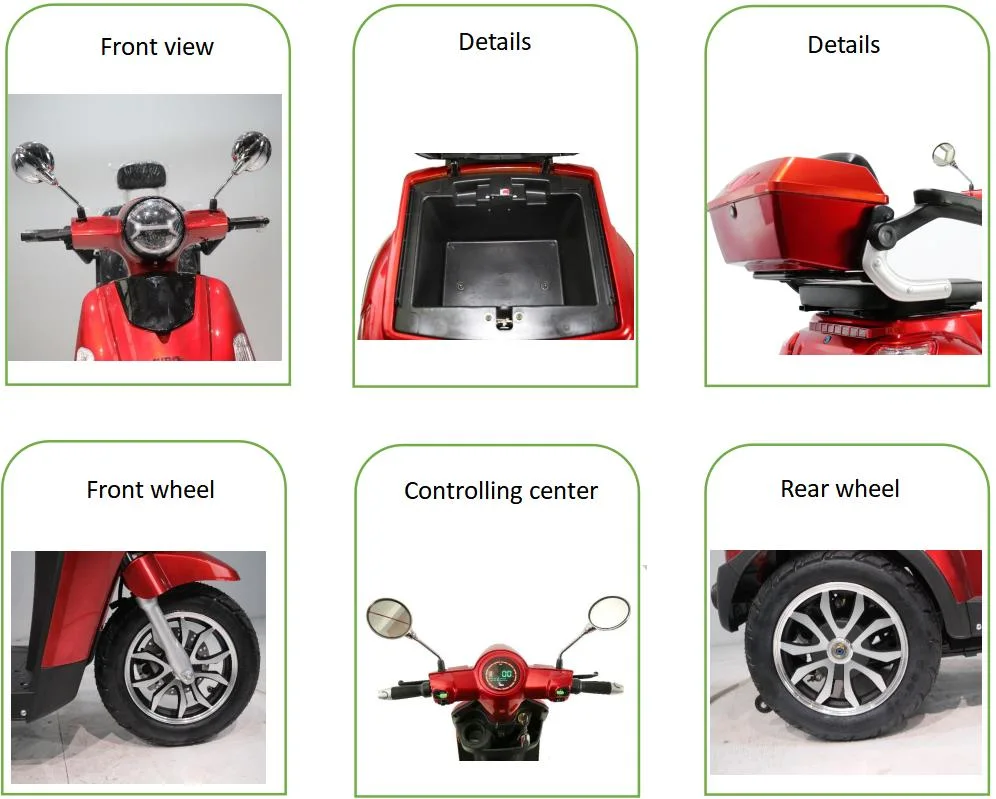 CE Approved Adult Assist Moped Electric Tricycle for Handicapped