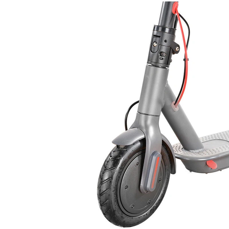 Best Mobility Electric Tricycle for All Ages