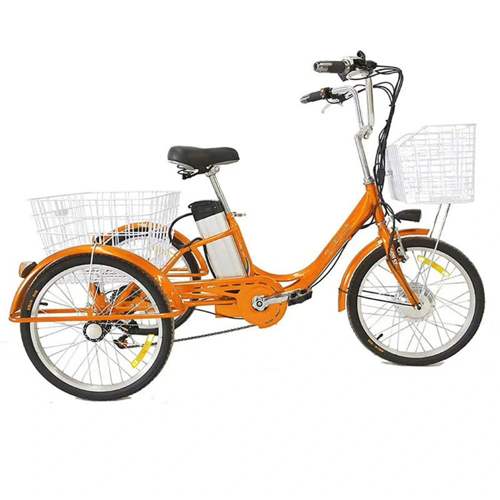 Adult Electric Bike Tricycle with Passenger Seat with Roof China