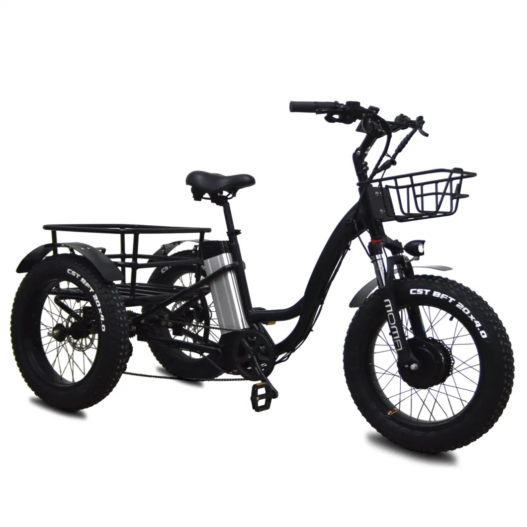 Electric Trike Fat Tire Electric Tricycle Three Wheels Adult Electric Cargo 3 Wheels Electric Vehicle