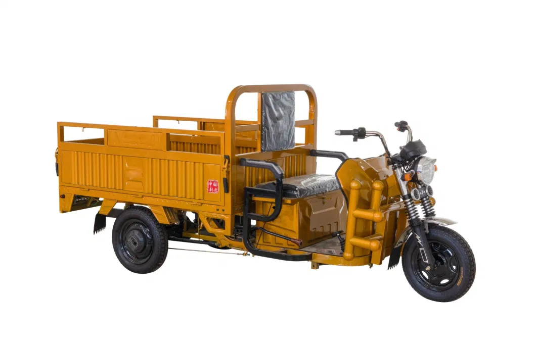 Sk China Heavy Load Open Electric Cargo Tricycle Factory OEM for Sale