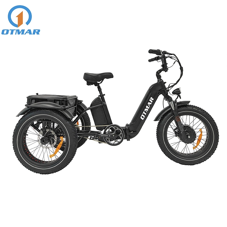 3 Wheel OEM Custom Good Electric Trike Fat Tire Adult Cargo Electric Tricycle with Basket Best Performance Hidden Lithium Battery E Trike