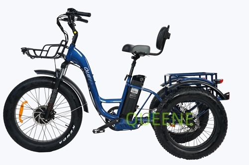 Queene/3 Wheel Electric Cargo Bike Foldable 48V 500W Electric Fat Tire Folding Tricycle 20*2.4 Tyre Electric Bike