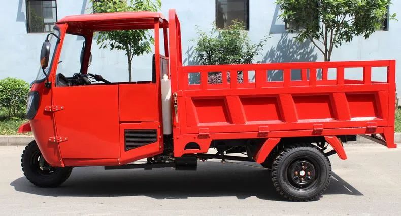 China Manufacture Big Carriage High Quality Carry Cargo Gas Motorized Adult Tricycle