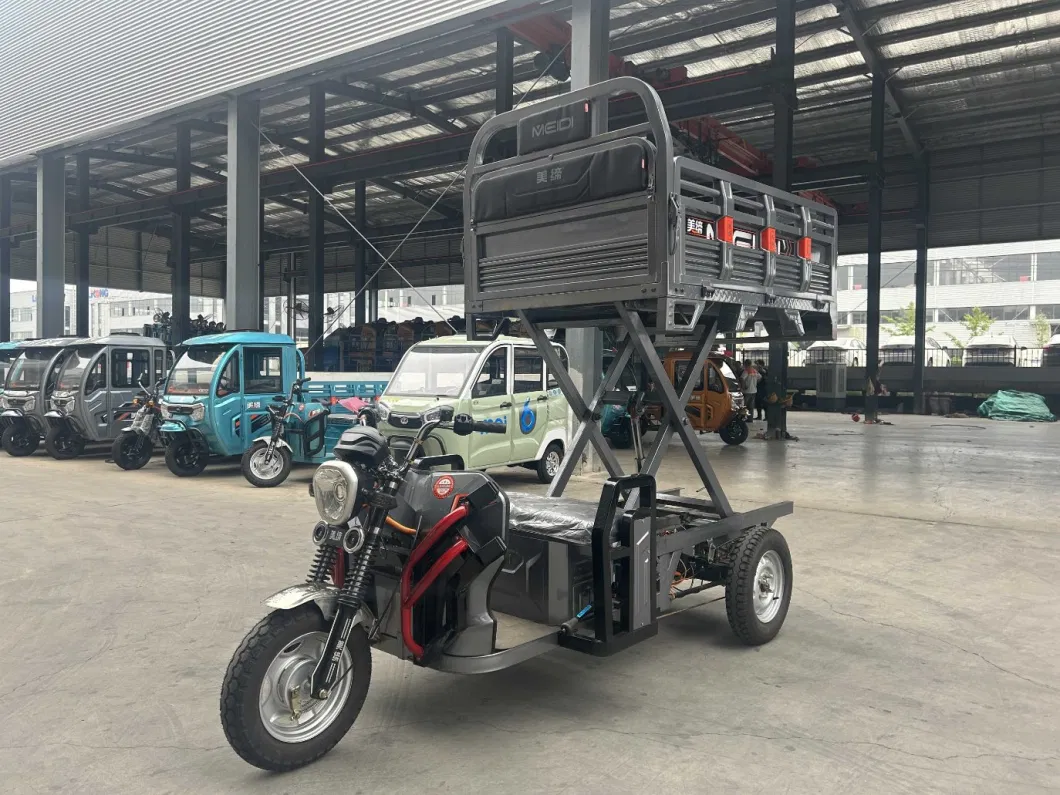 Meidi Cheap Orchard Lift Truck Three Wheel Wheeler Motorcycle Tuk Tuk Tuktuk Motorized Passenger Cabin Cargo Vehicle Auto Electric Tricycle for Adults