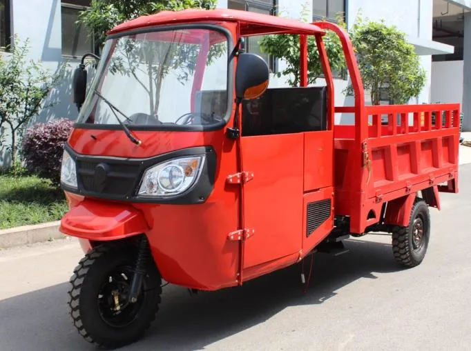 China Manufacture Big Carriage High Quality Carry Cargo Gas Motorized Adult Tricycle