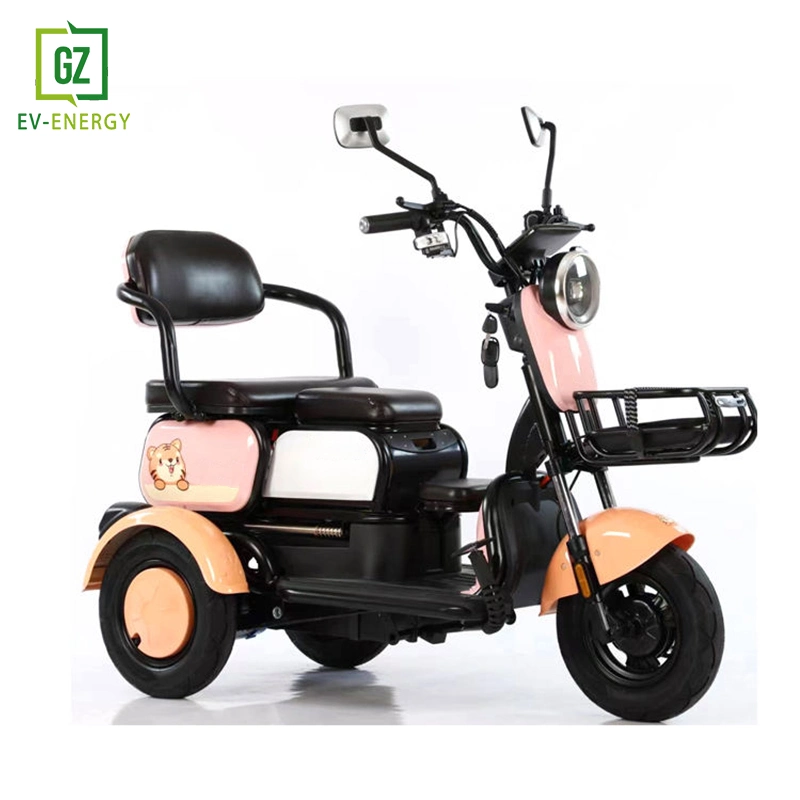 Small Electric Tricycle for Home