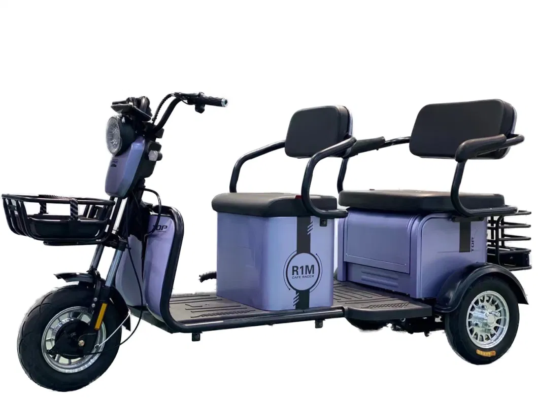 3 Wheel Light Electric Passenger Scooter Tricycle for Adult by EEC Certification