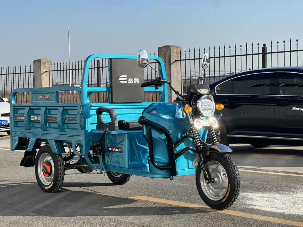 Triciclo Electric Trike 1000W Motor Fat Tire 3 Wheel E Tricycle Three Wheels Adult Cargo Electric Bike