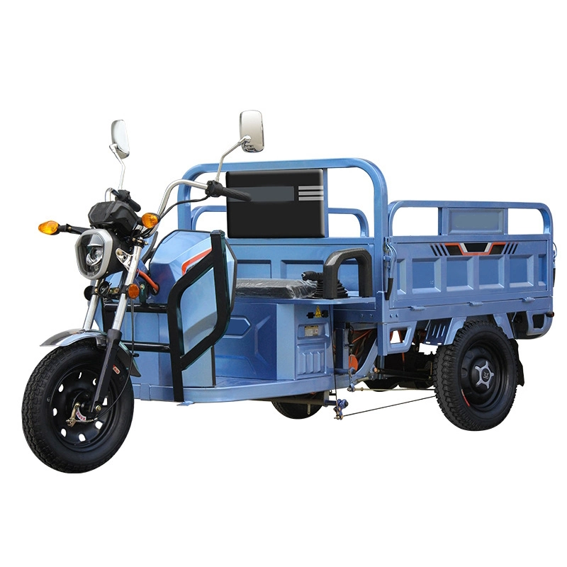 Foldable Adult Electric Tricycle Pet Transport Persons Transport Tricycle Freight and Transport