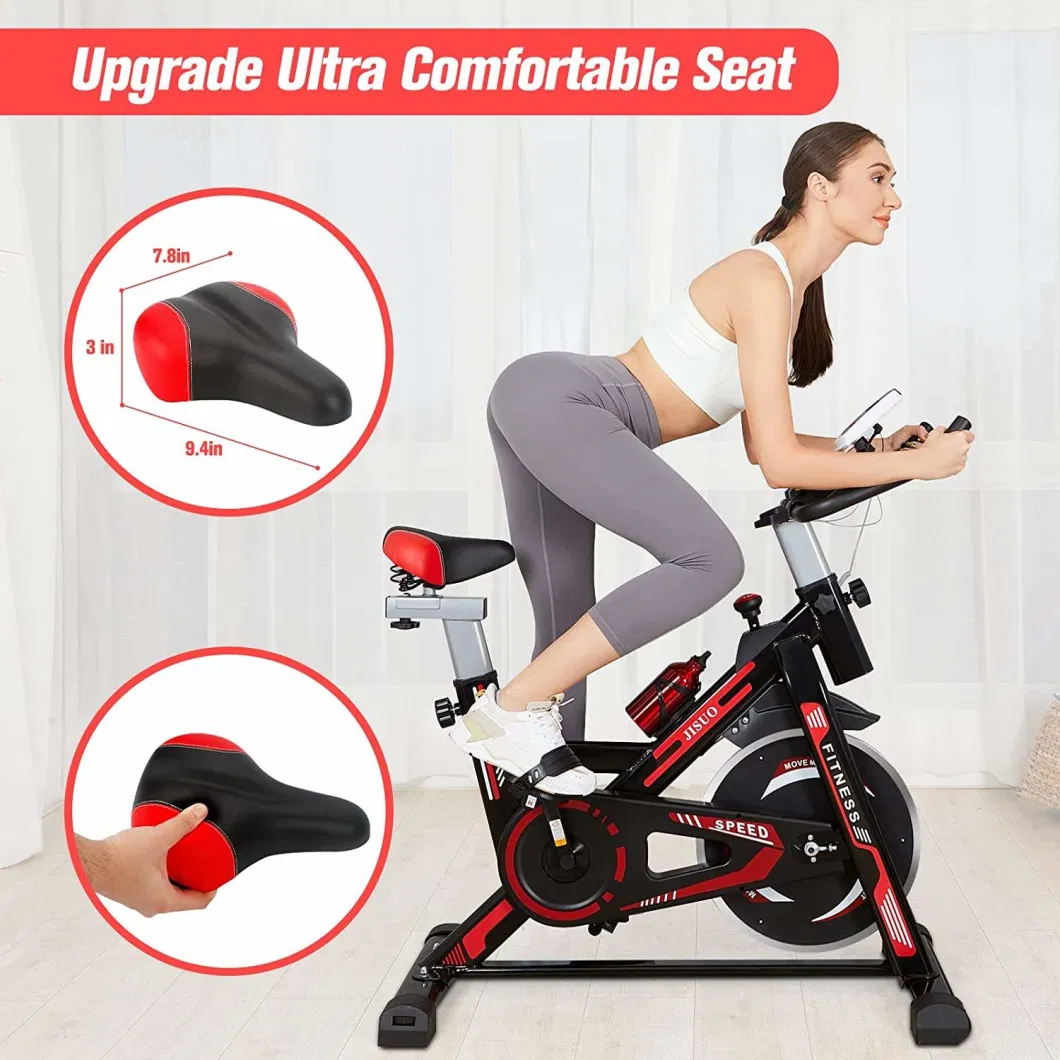 2024 Fitness/Exercise/Recumbent /Spinning/Pms/EMS/Gym Equipment Bike