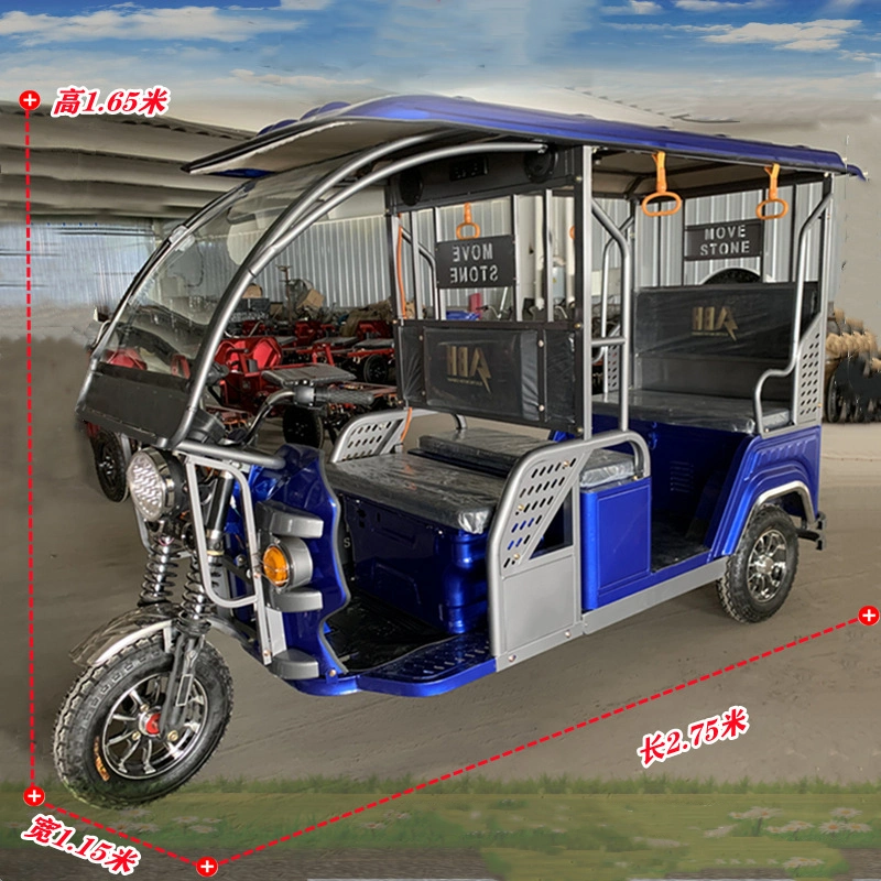 60V 800W Electric Tricycle Mileage 25km-300km Double Lithium Battery and Solar Charger